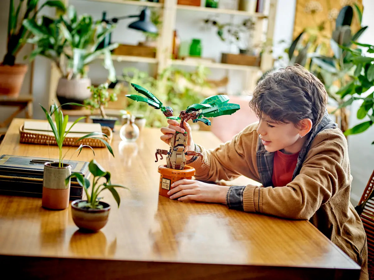 LEGO Harry Potter 76433 Mandrágora