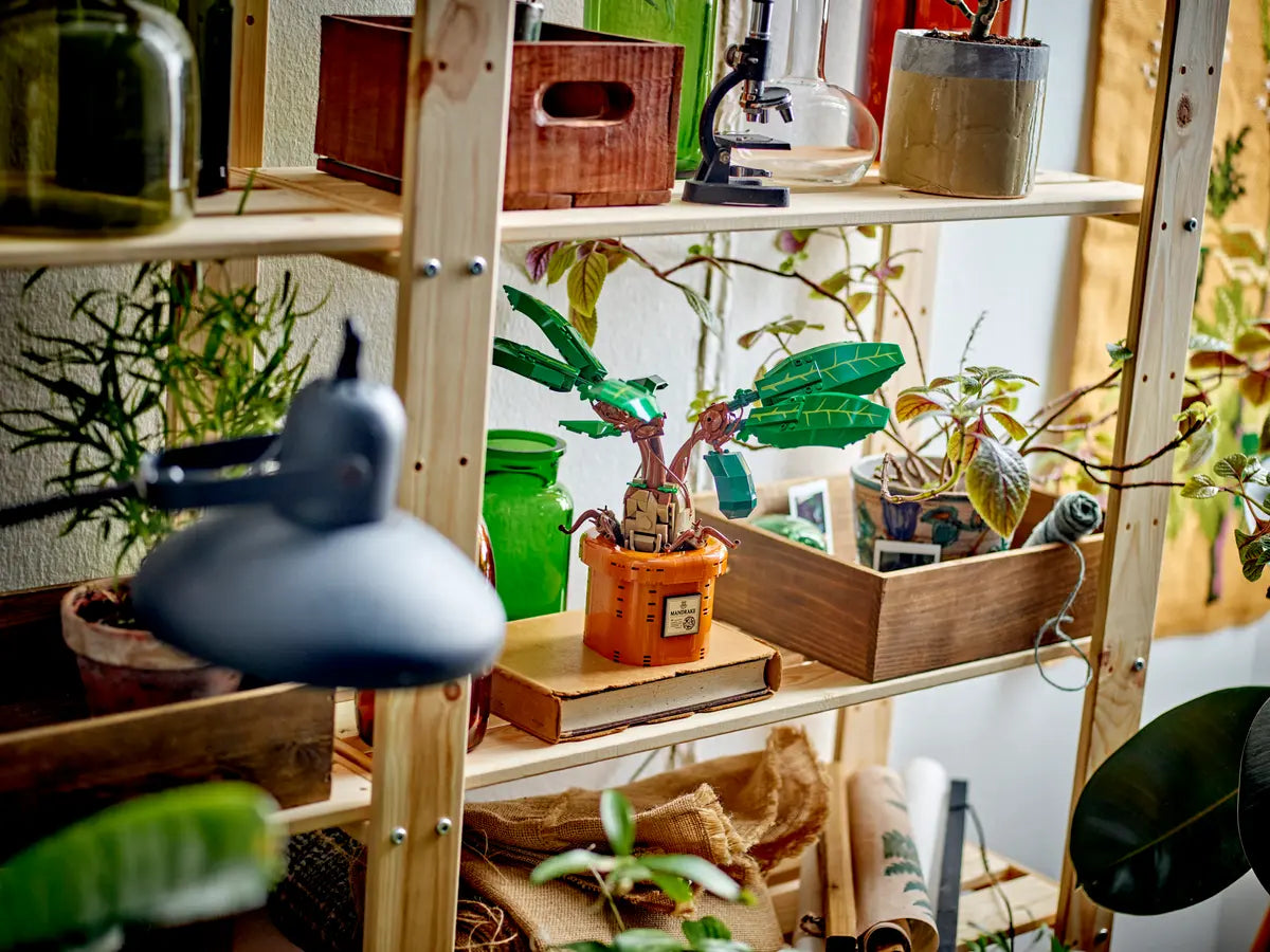 LEGO Harry Potter 76433 Mandrágora